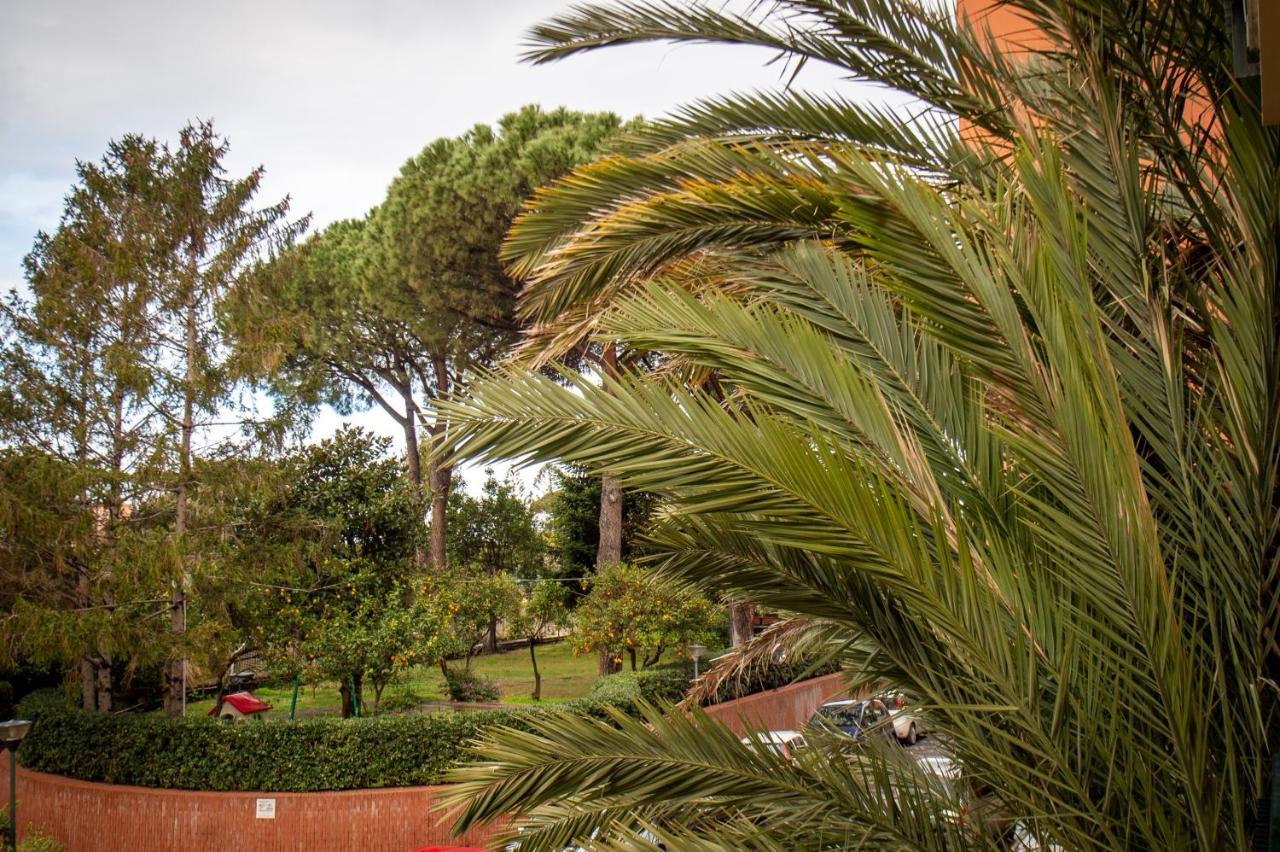 Lauro Charme B&B Di Rosanova Rosa Sorrento Bagian luar foto